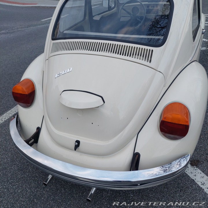 Volkswagen Brouk  1975