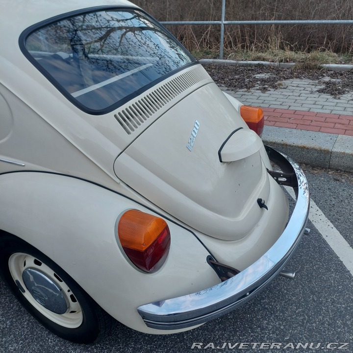 Volkswagen Brouk  1975