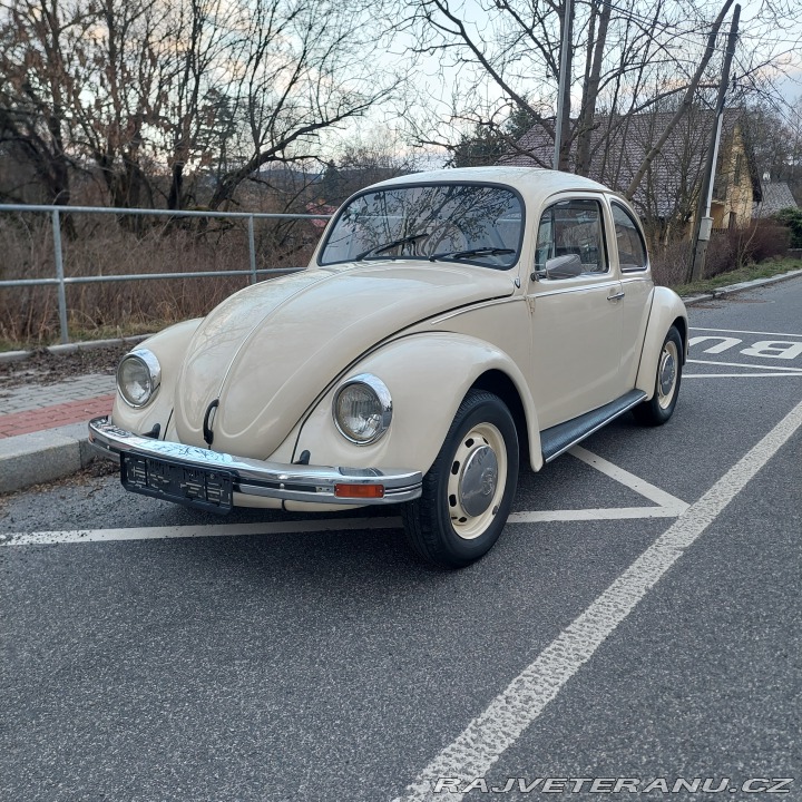 Volkswagen Brouk  1975