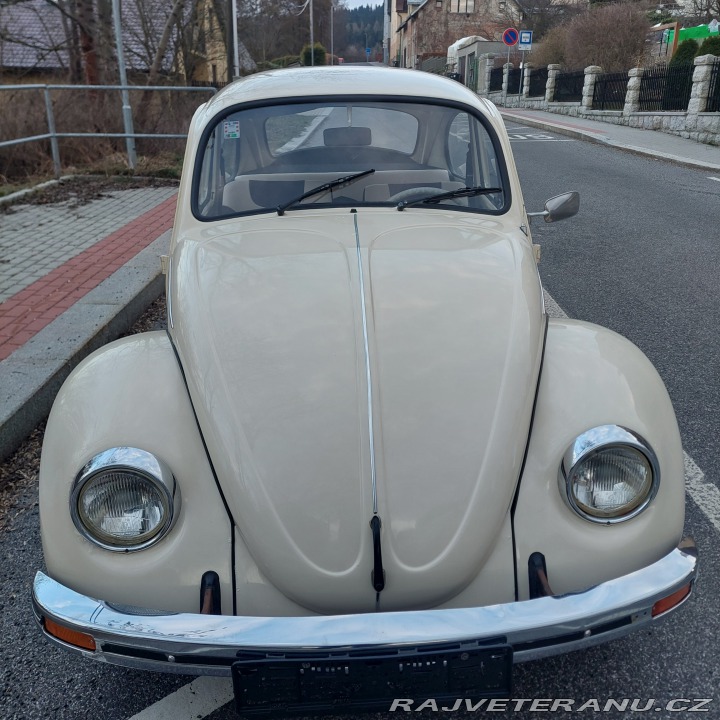 Volkswagen Brouk  1975