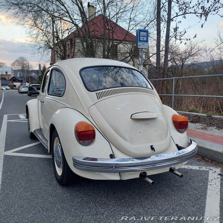 Volkswagen Brouk  1975