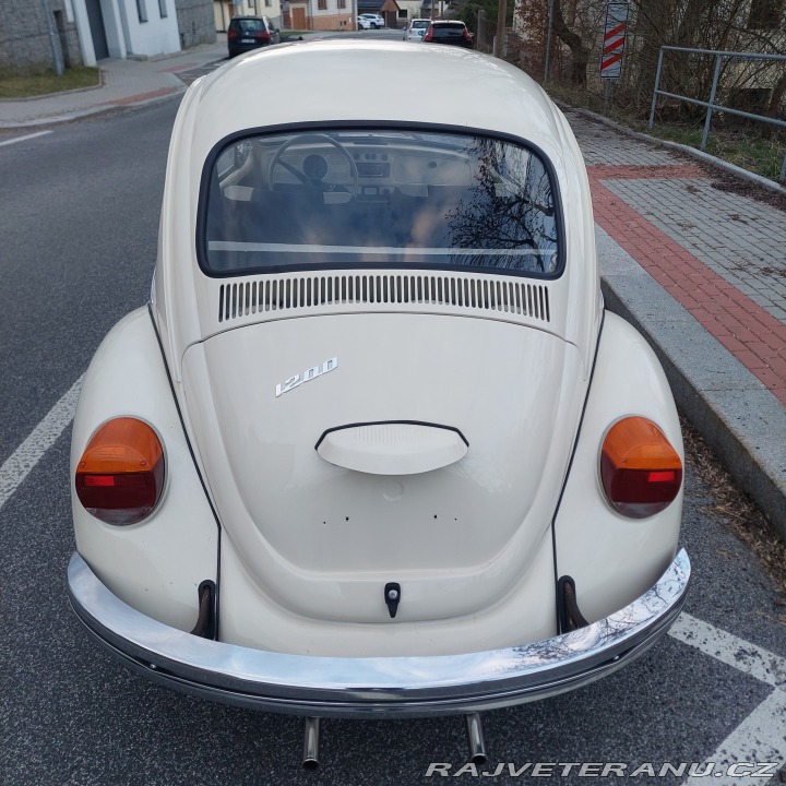 Volkswagen Brouk  1975