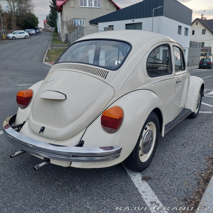 Volkswagen Brouk  1975