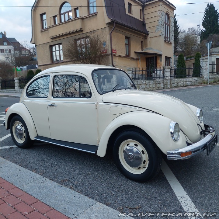 Volkswagen Brouk  1975