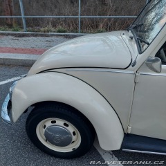 Volkswagen Brouk 1975