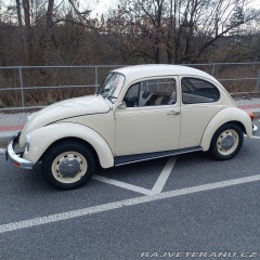 Volkswagen Brouk 1975