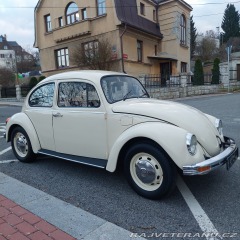 Volkswagen Brouk 1975