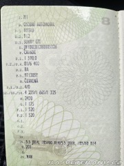 Nissan Sunny 1.6i 16v GTI 1989