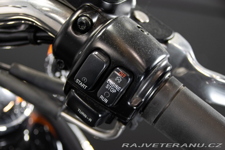 Harley-Davidson Ostatní modely SOFTAIL BAD BOY 1996