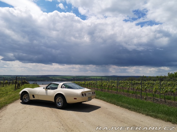 Chevrolet Corvette C3 1981