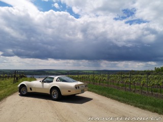 Chevrolet Corvette C3 1981