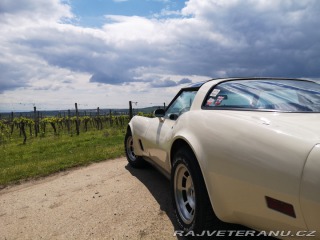 Chevrolet Corvette C3 1981