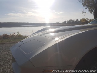 Chevrolet Corvette C3 1981