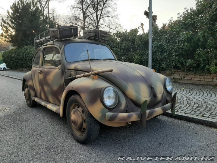 Volkswagen Brouk 1300 1971