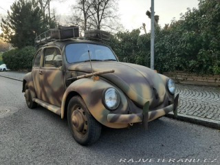 Volkswagen Brouk 1300 1971
