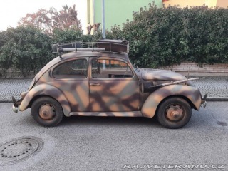 Volkswagen Brouk 1300 1971