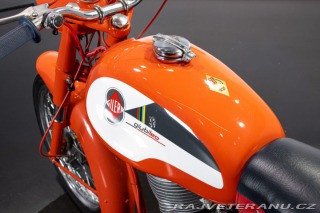 Ostatní značky Ostatní modely Gilera GIUBILEO 98 1962