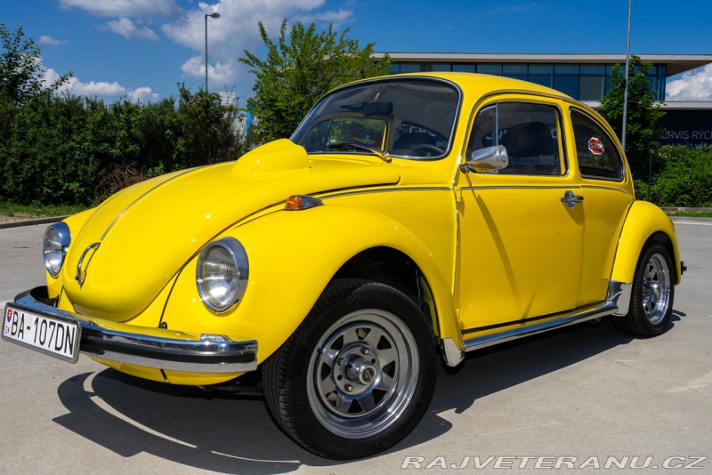 Volkswagen Brouk 