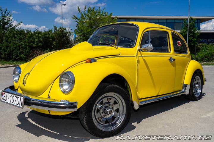 Volkswagen Brouk  1960
