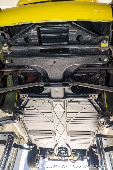 Volkswagen Brouk  1960