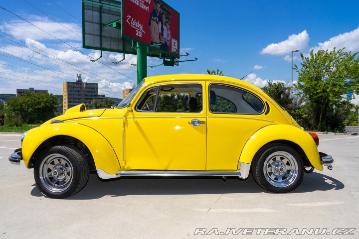 Volkswagen Brouk  1960