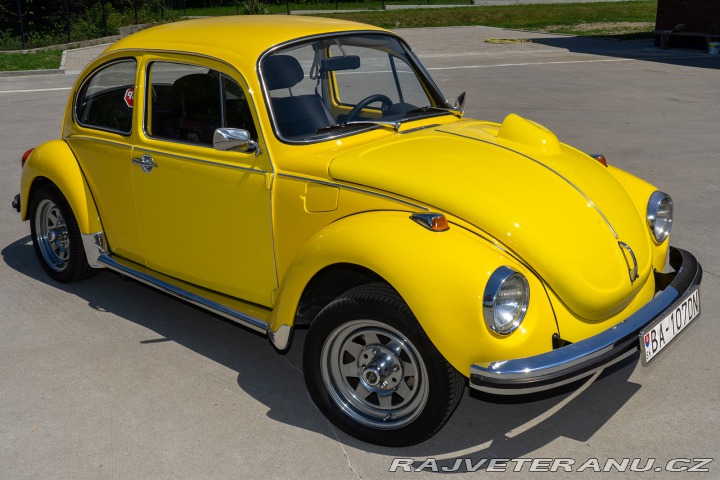 Volkswagen Brouk  1960