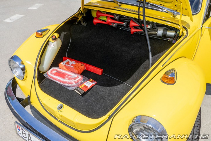 Volkswagen Brouk  1960