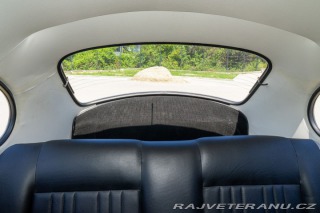 Volkswagen Brouk  1960