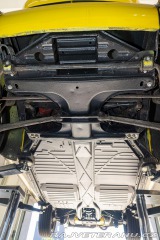 Volkswagen Brouk  1960