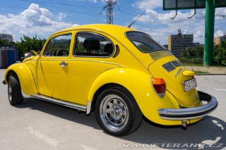 Volkswagen Brouk  1960