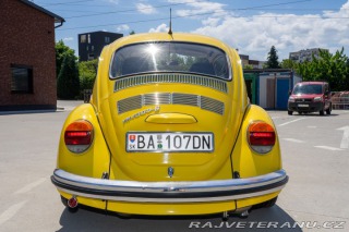 Volkswagen Brouk  1960