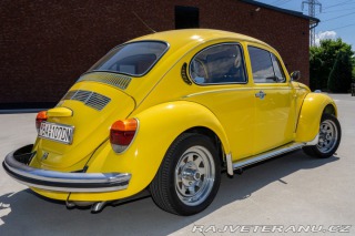Volkswagen Brouk  1960
