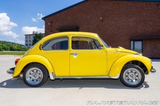 Volkswagen Brouk  1960
