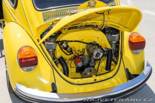 Volkswagen Brouk  1960