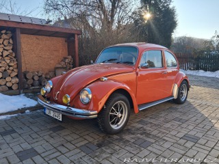 Volkswagen Brouk 