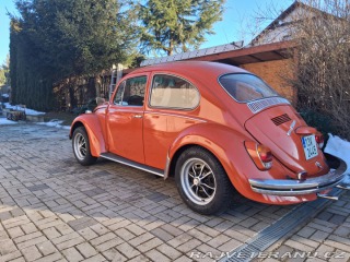 Volkswagen Brouk  1969