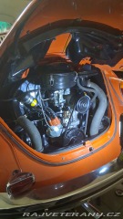 Volkswagen Brouk  1969