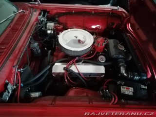 Ford Thunderbird  1960