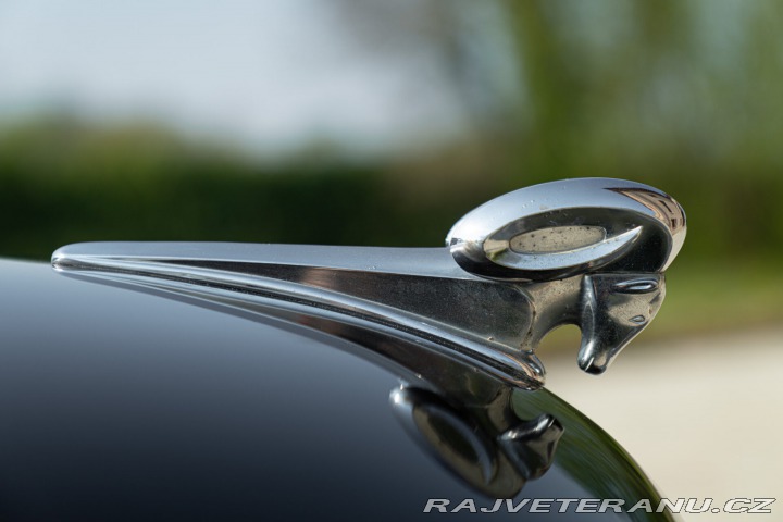 Dodge Ostatní modely V-EIGHT 1953