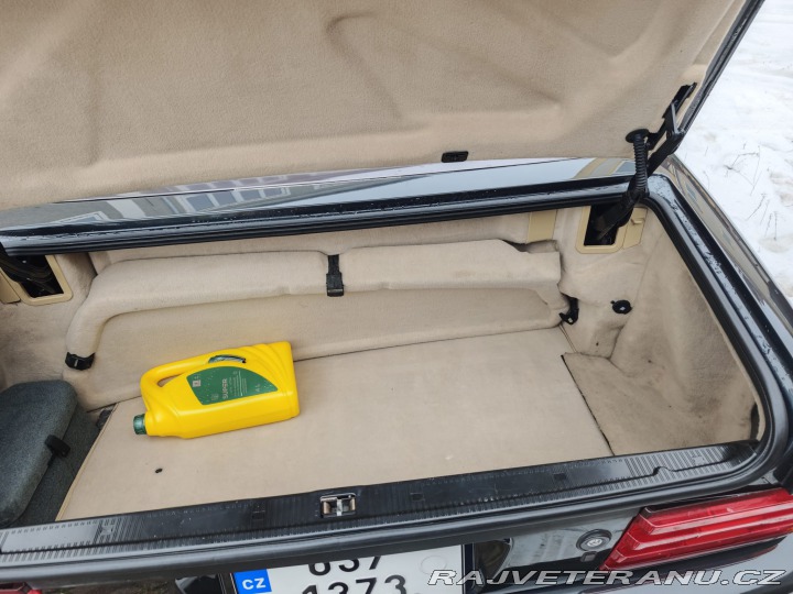 Mercedes-Benz SL R129.076 (SL 600 V12) 1993