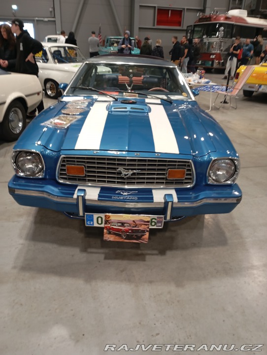 Ford Mustang Gia 1974