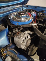 Ford Mustang Gia 1974