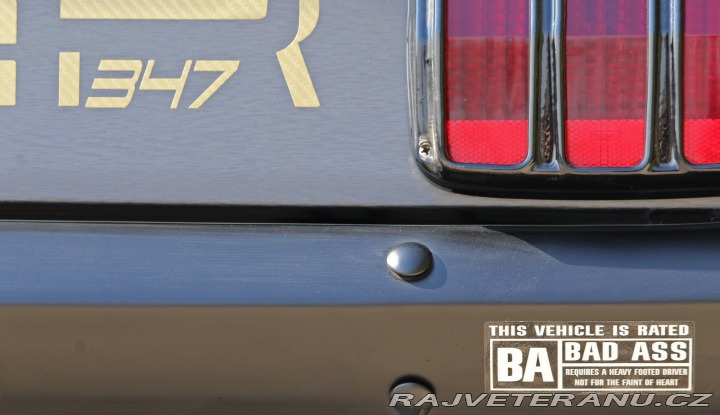 Ford Mustang MAIER RACING WIDEBODY 1965