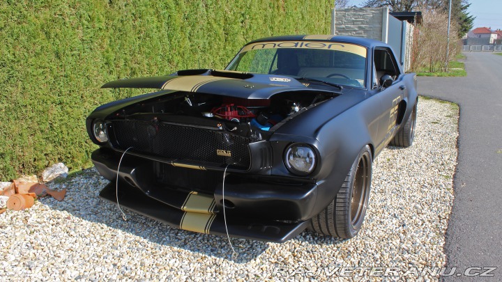 Ford Mustang MAIER RACING WIDEBODY 1965