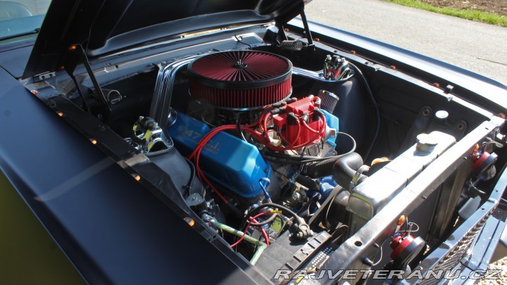 Ford Mustang MAIER RACING WIDEBODY 1965