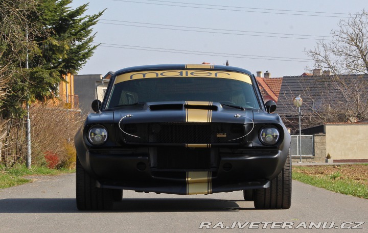 Ford Mustang MAIER RACING WIDEBODY 1965