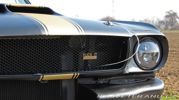 Ford Mustang MAIER RACING WIDEBODY 1965