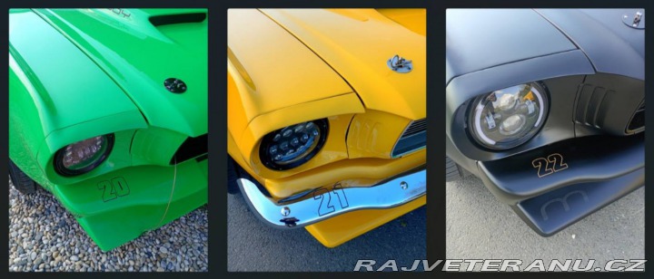 Ford Mustang MAIER RACING WIDEBODY 1965