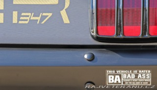 Ford Mustang MAIER RACING WIDEBODY 1965