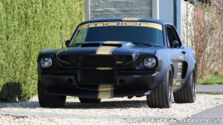 Ford Mustang MAIER RACING WIDEBODY 1965